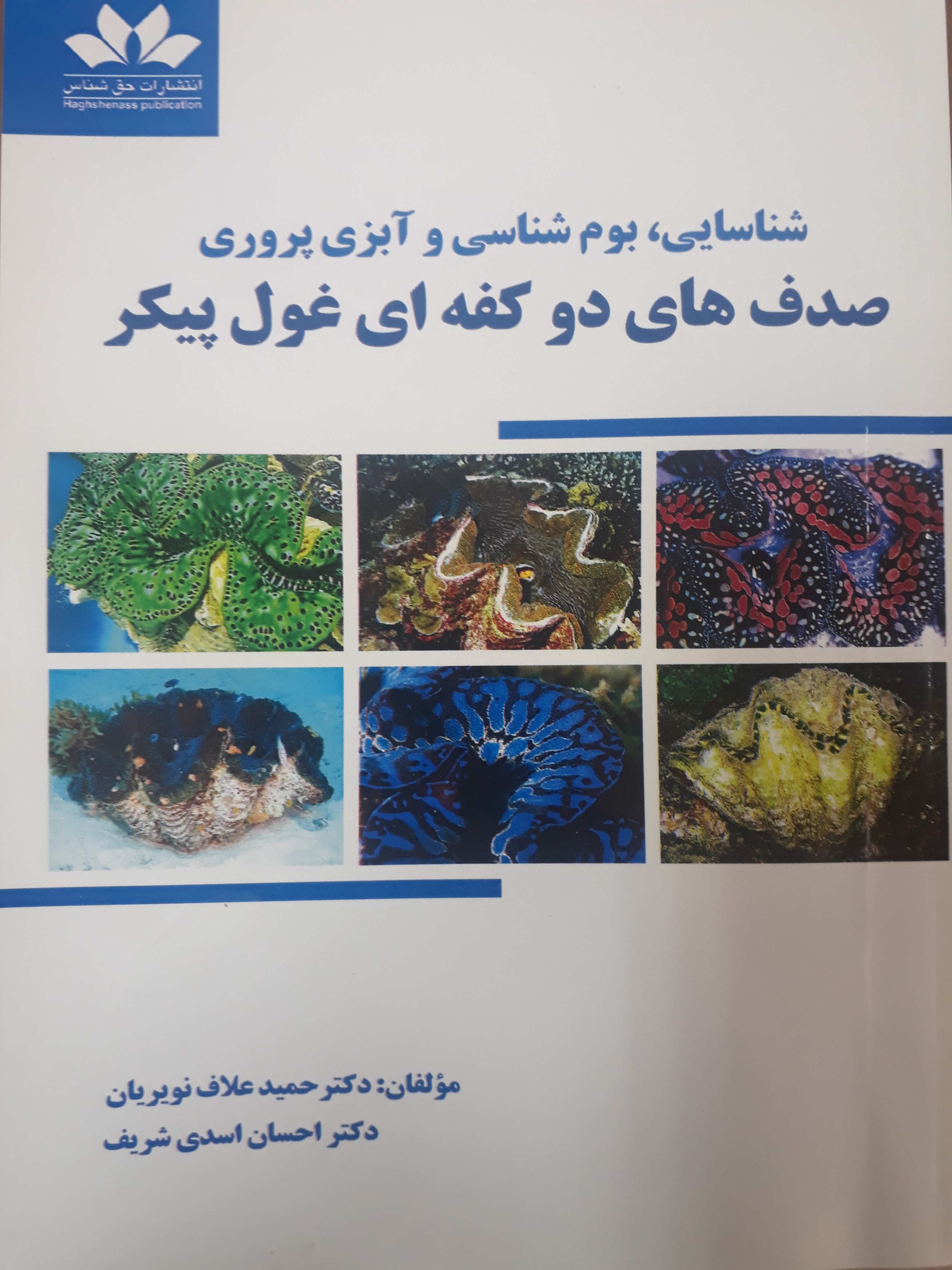 تصویر کوچک