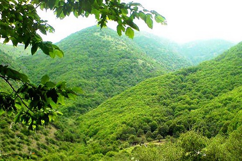 تصویر کوچک