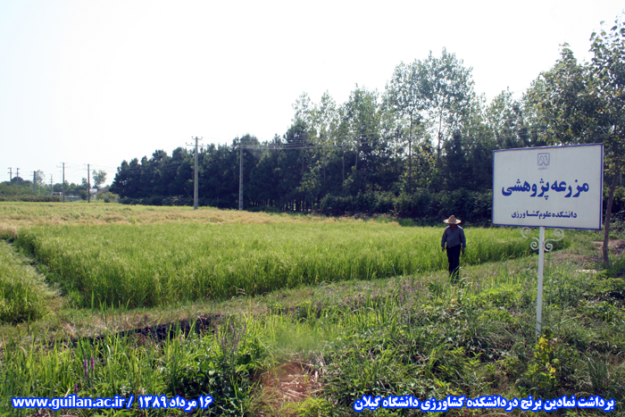 تصویر کوچک