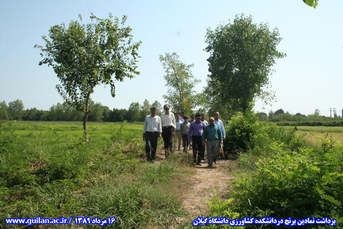 تصویر کوچک