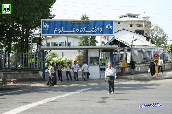 تصویر کوچک
