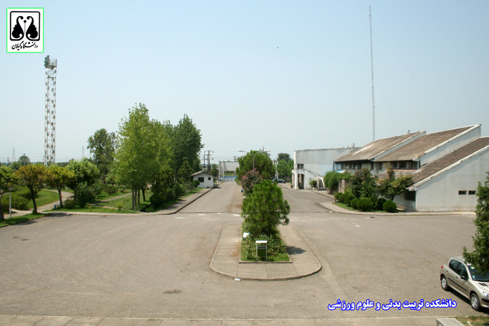 تصویر کوچک