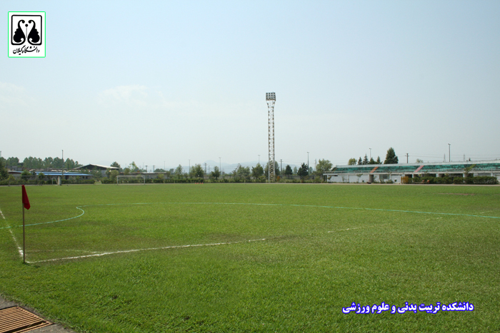 تصویر کوچک